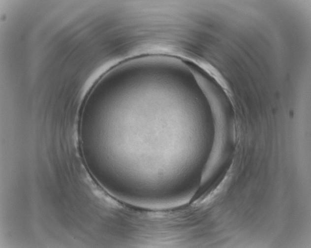 X0000066090904200603171052