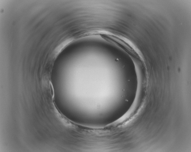 X0000066090905200603171052