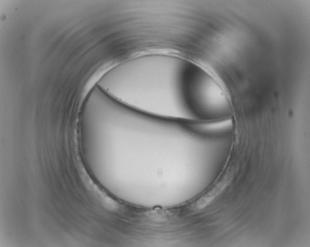 X0000066090906200603171052