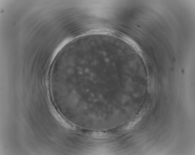 X0000066090907200603171052