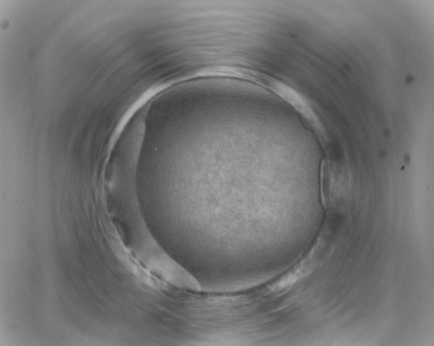 X0000066090908200603171052