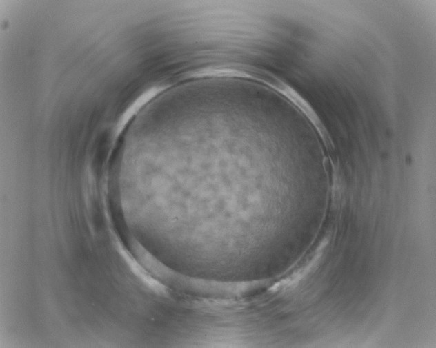 X0000066090909200603171052