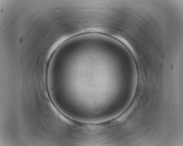 X0000066090910200603171052