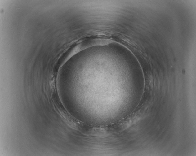 X0000066090914200603171051