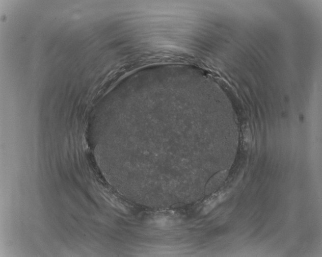 X0000066090916200603171051