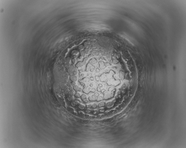 X0000066090917200603171051