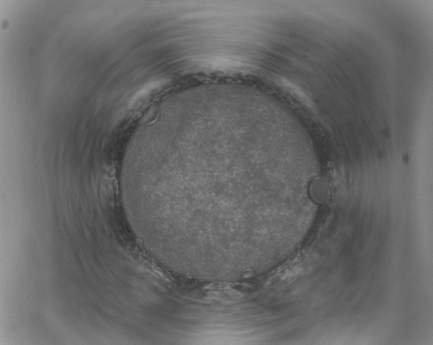 X0000066090918200603171051