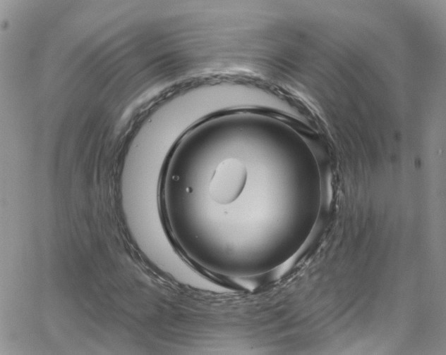 X0000066090920200603171051