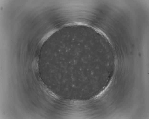 X0000066090921200603171051