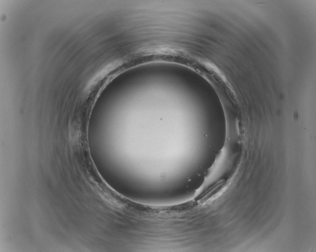 X0000066090922200603171051