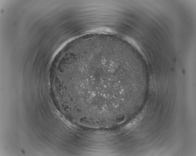 X0000066090923200603171051