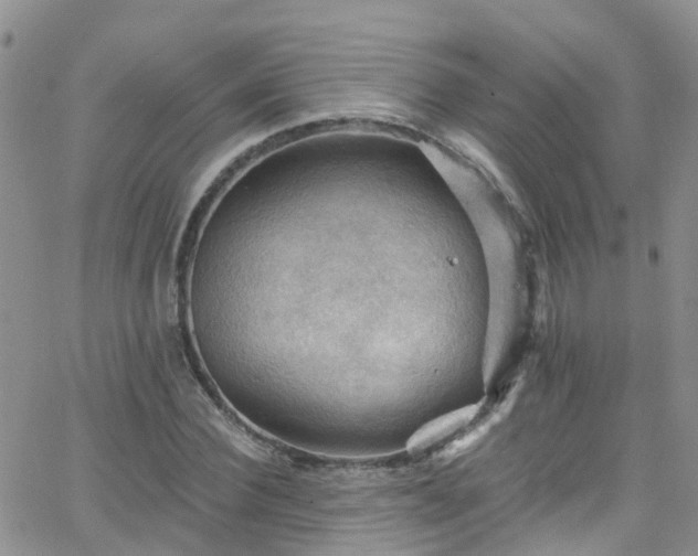 X0000066090924200603171051