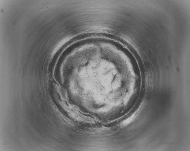 X0000066090925200603171051