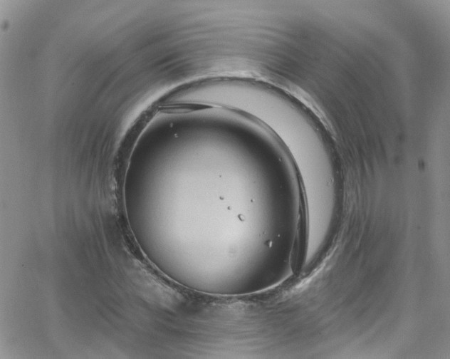 X0000066090926200603171052