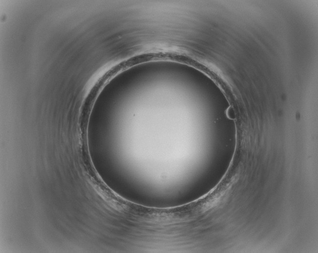 X0000066090927200603171052