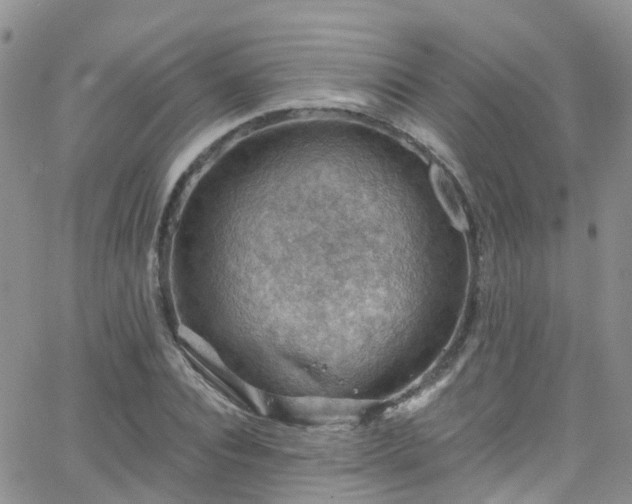 X0000066090928200603171052