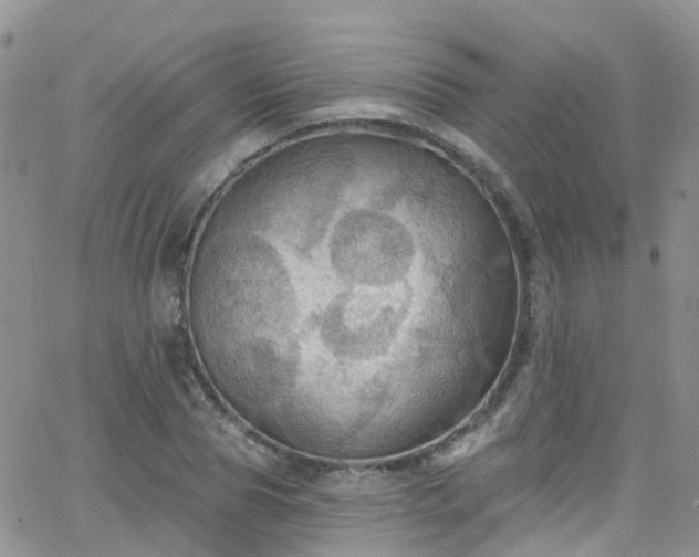 X0000066090929200603171052