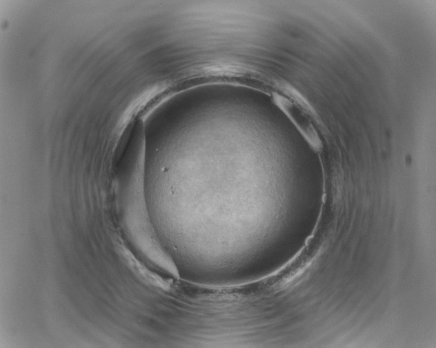 X0000066090930200603171052