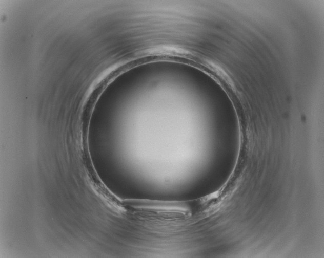 X0000066090931200603171052