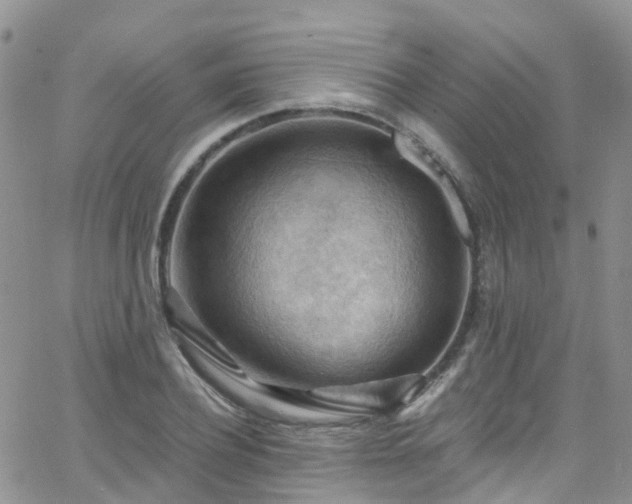 X0000066090932200603171052