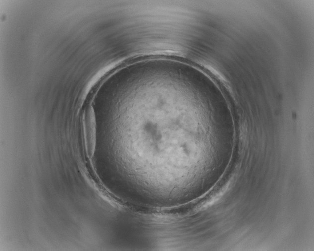 X0000066090933200603171052