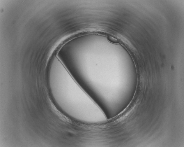 X0000066090934200603171052