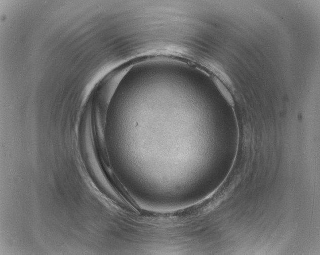 X0000066090936200603171052