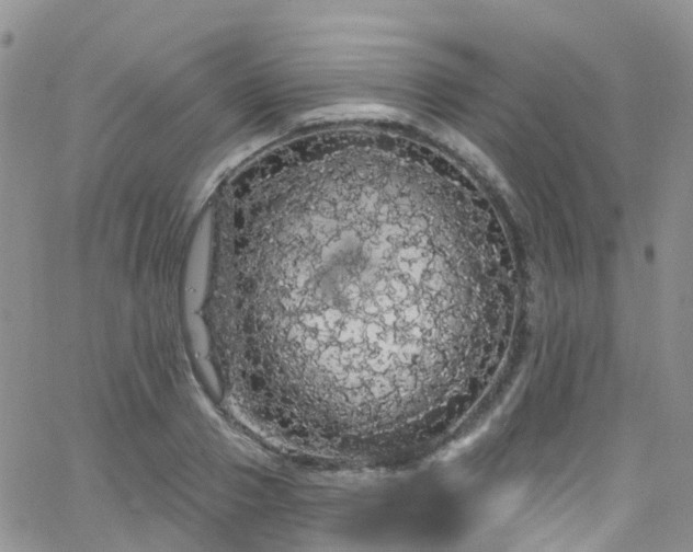 X0000066090937200603171052