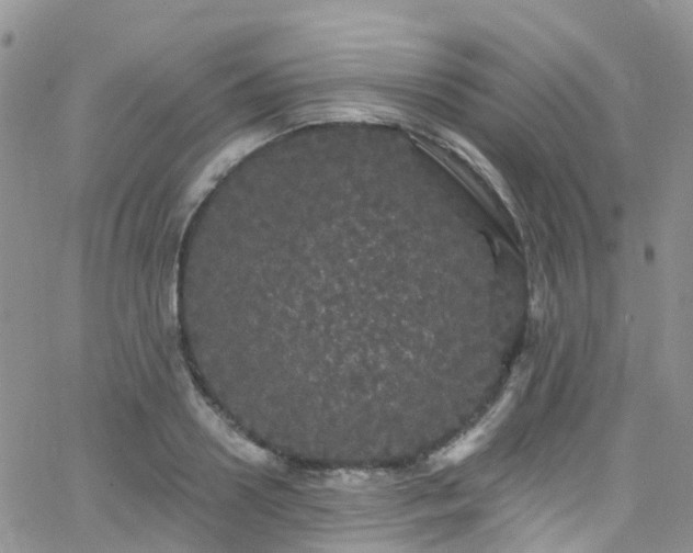 X0000066090938200603171052