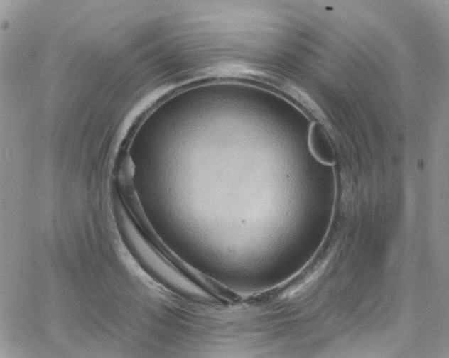 X0000066090939200603171052