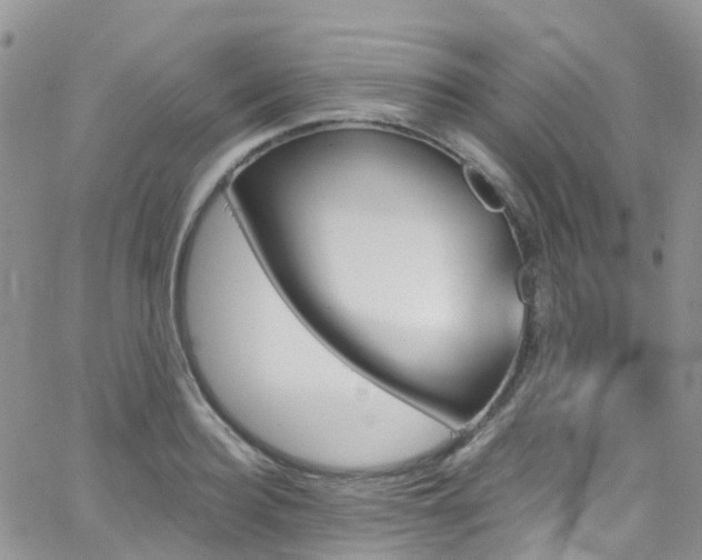 X0000066090940200603171052