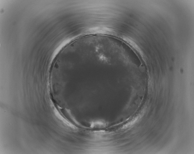 X0000066090941200603171052