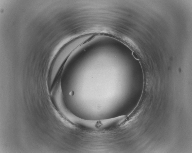 X0000066090942200603171052