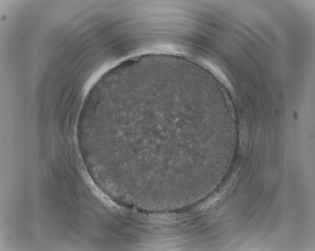 X0000066090944200603171052