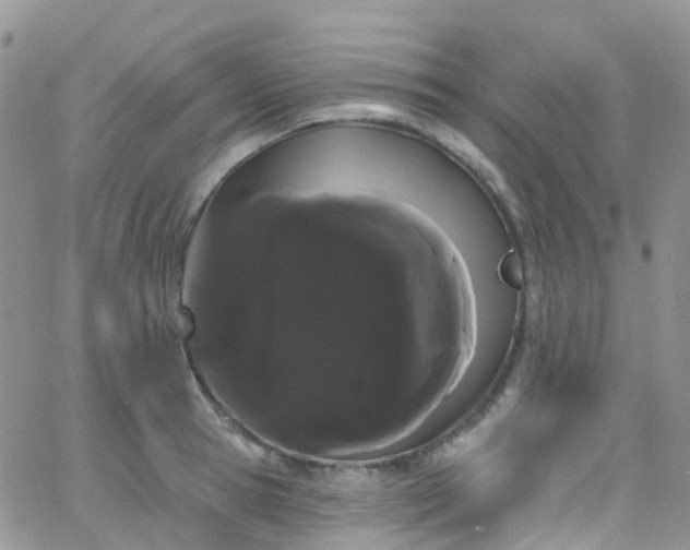 X0000066090945200603171052