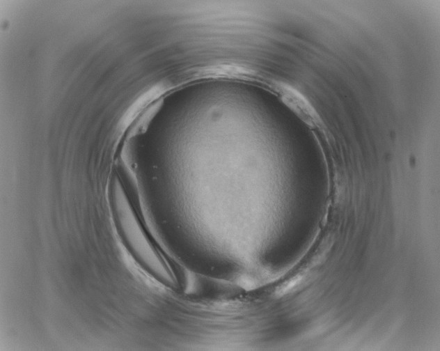 X0000066090946200603171052