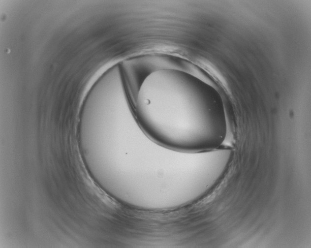 X0000066090948200603171052