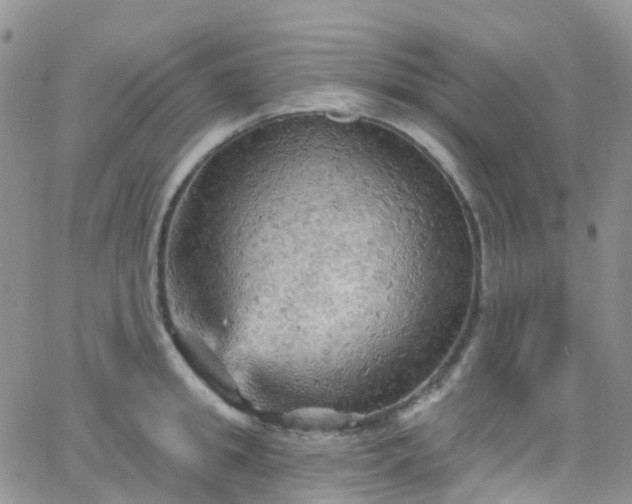 X0000066090949200603171052