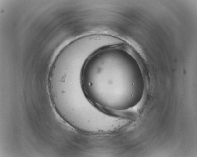 X0000066090950200603171052