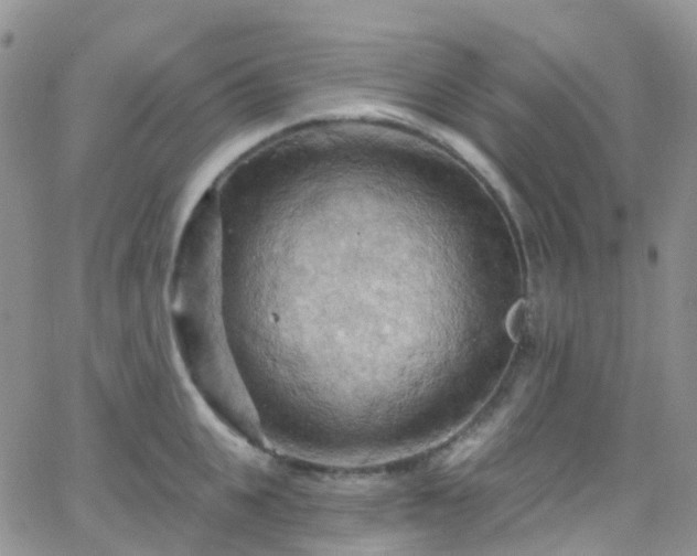 X0000066090951200603171052