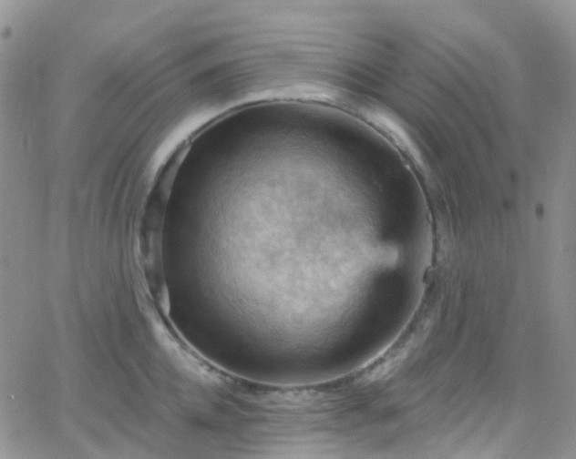 X0000066090952200603171052