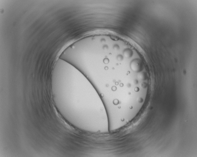 X0000066090953200603171052