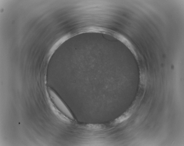 X0000066090954200603171052