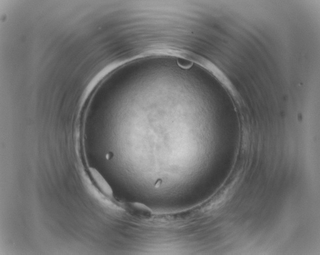 X0000066090955200603171052