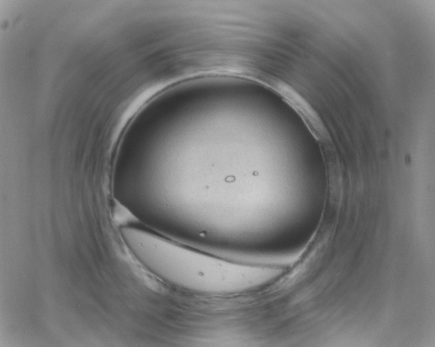 X0000066090956200603171052