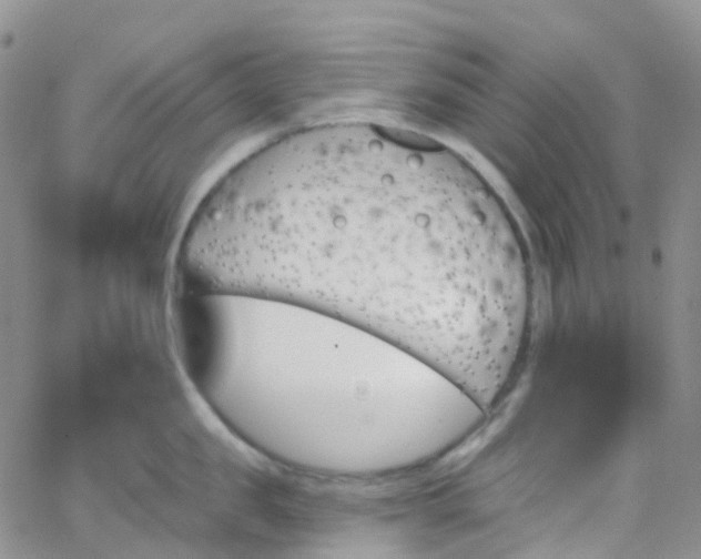 X0000066090957200603171052