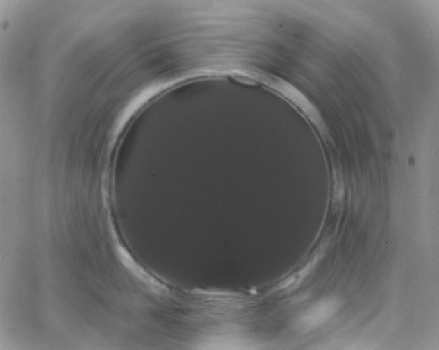 X0000066090958200603171052