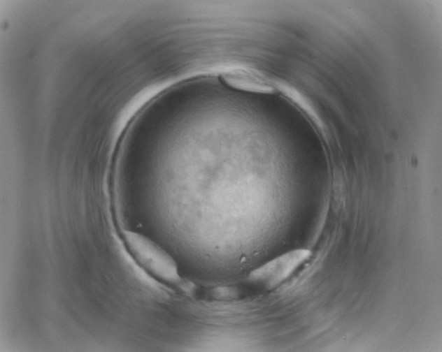 X0000066090959200603171052