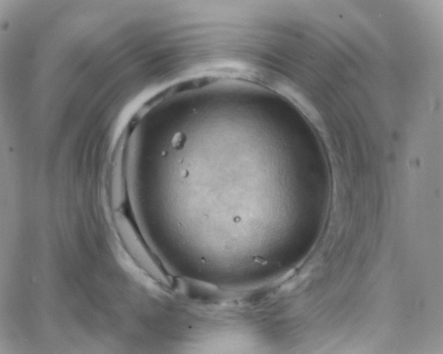 X0000066090960200603171052