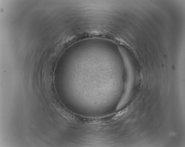 X0000066090961200603171051